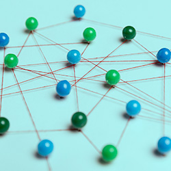 Red de distribución propia